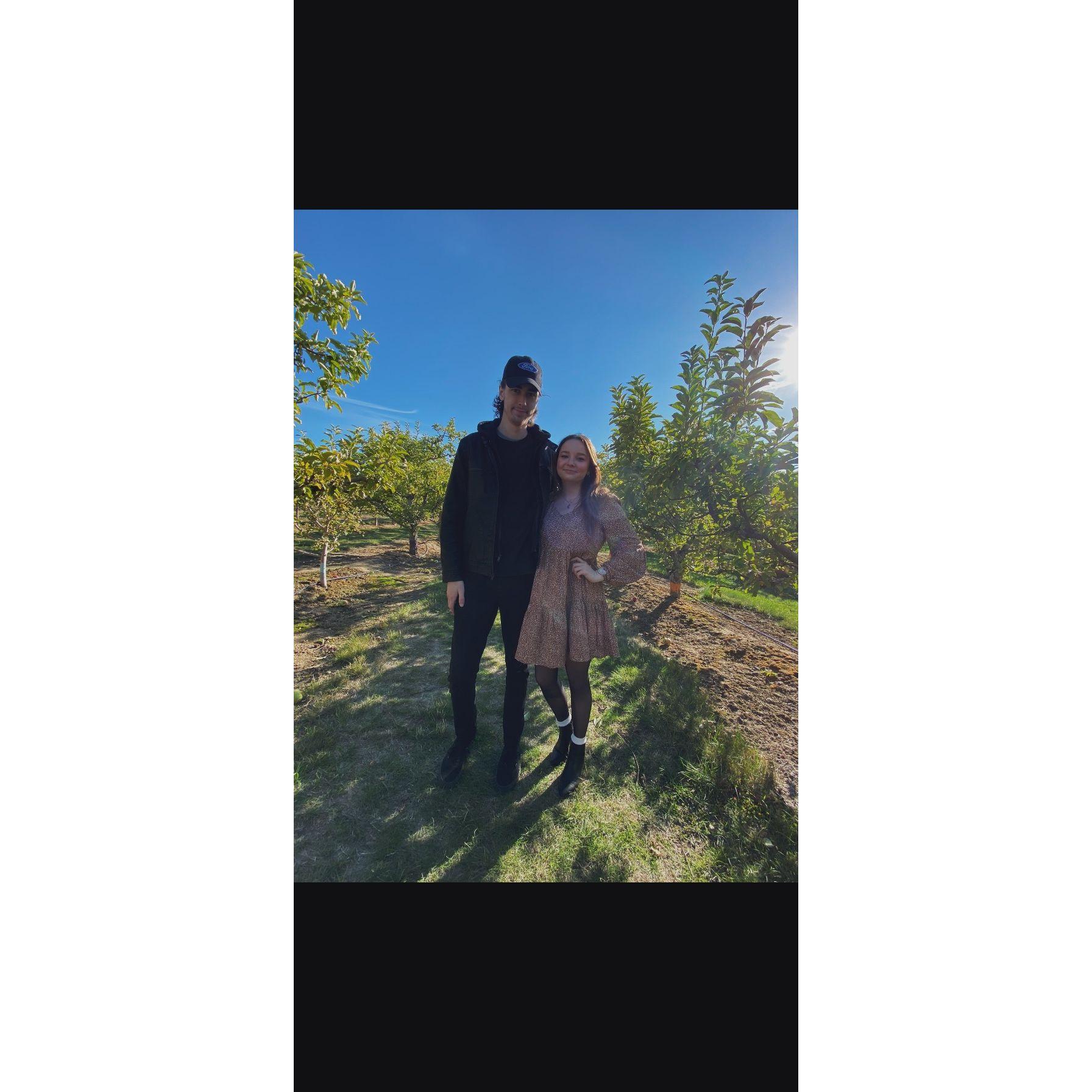 A couple among the orchards - 2020