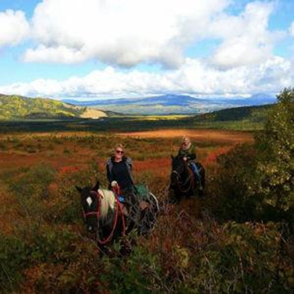 🐎 Horseback Ride Along the Talkeetna River