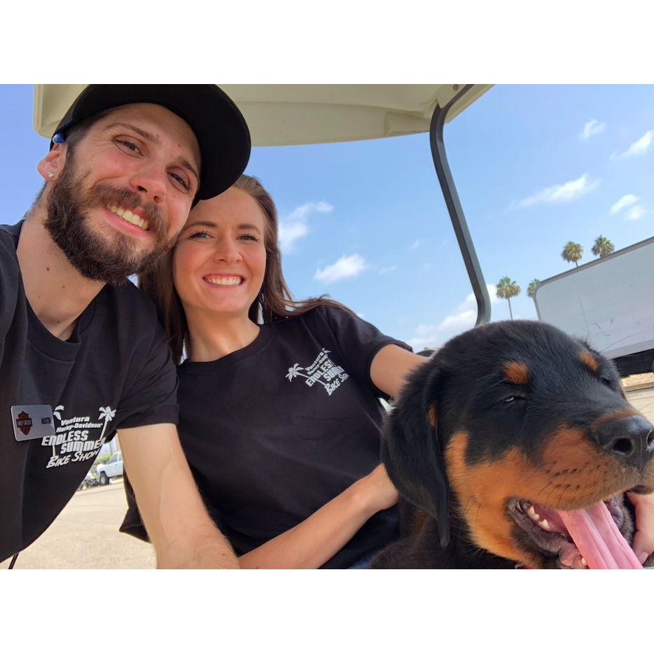 Riding around on the golf cart at a Harley event with Janie the Rottweiler. August 22nd, 2021