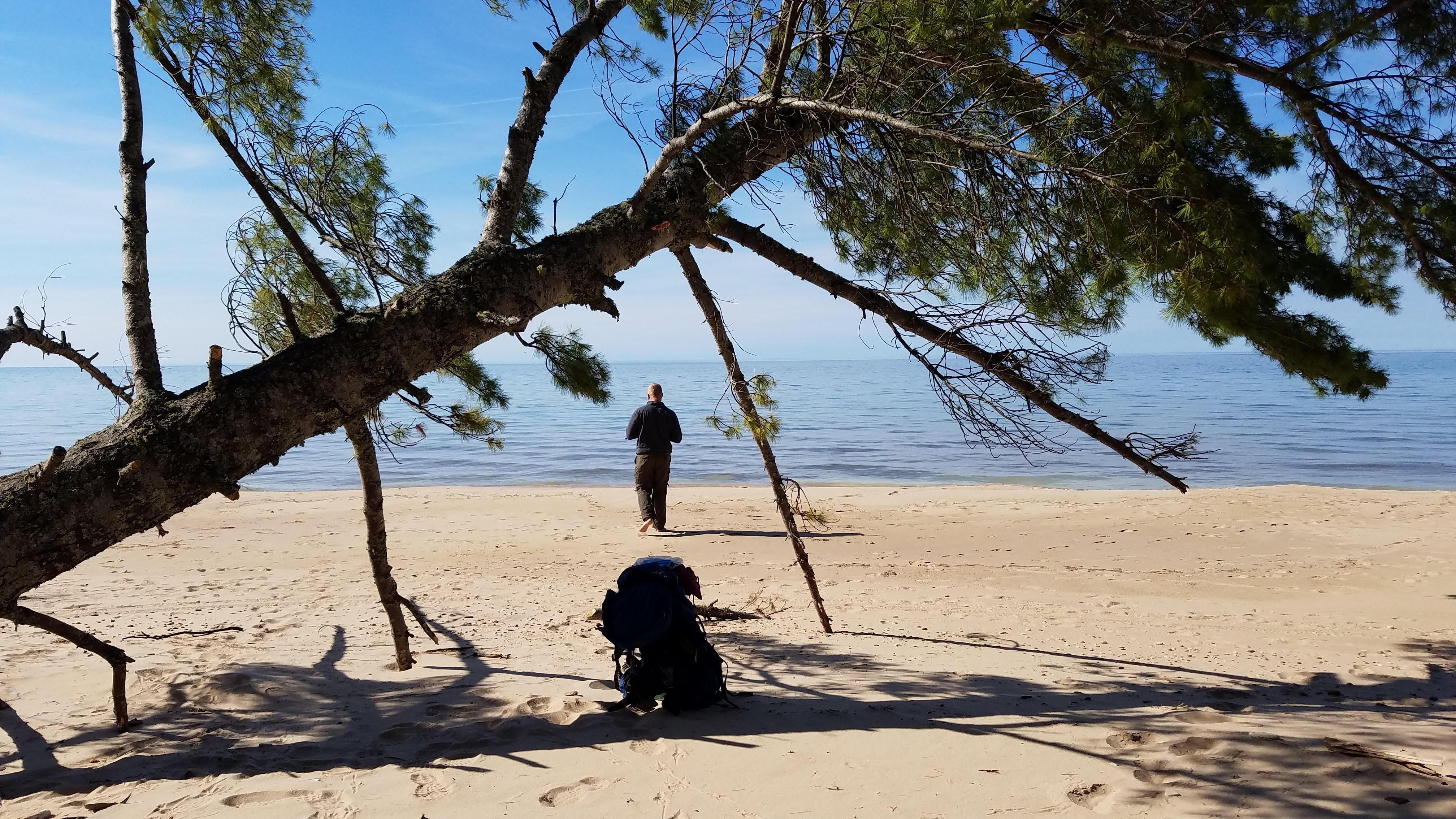 The Wedding Website of Amy Kilroy and Charles Shimek