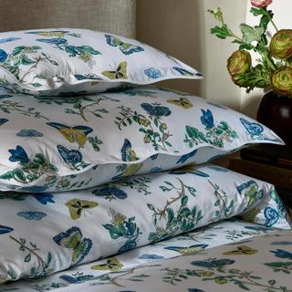 Baudin Butterfly Sham