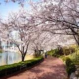 Seokchon Lake