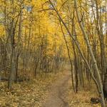 Kenosha Pass