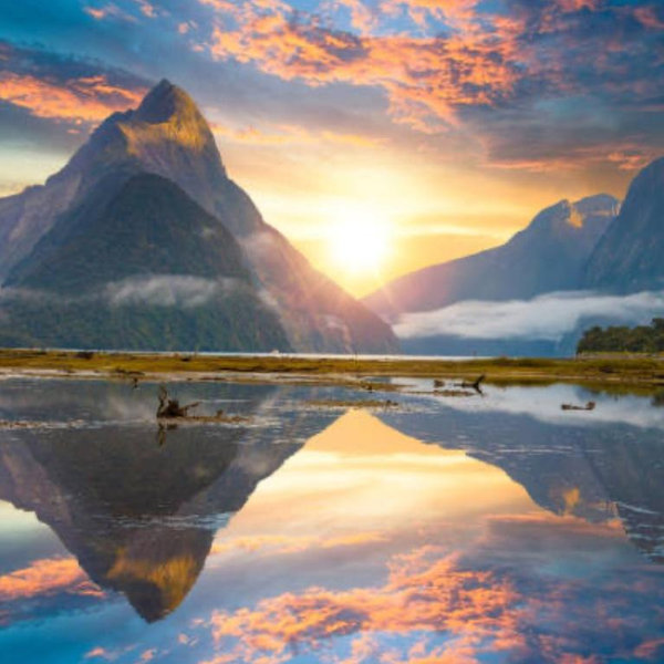 Honeymoon fund to New Zealand!!!
