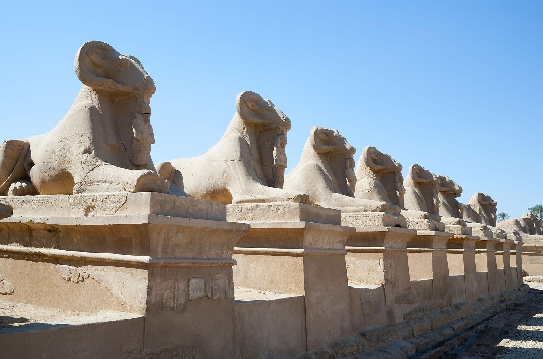 The Wedding Website of Mahmoud Abdalla and Mozan Abdalla