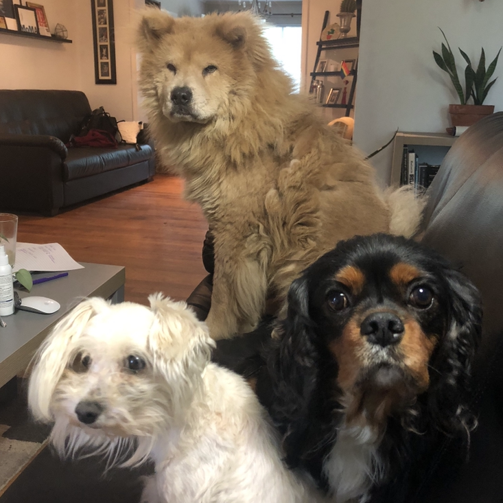 can’t forget the kiddos