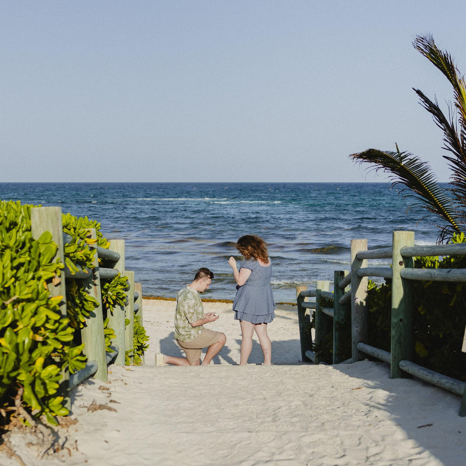 Proposal in Mexico 5-20-2024