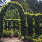 Heronswood Garden