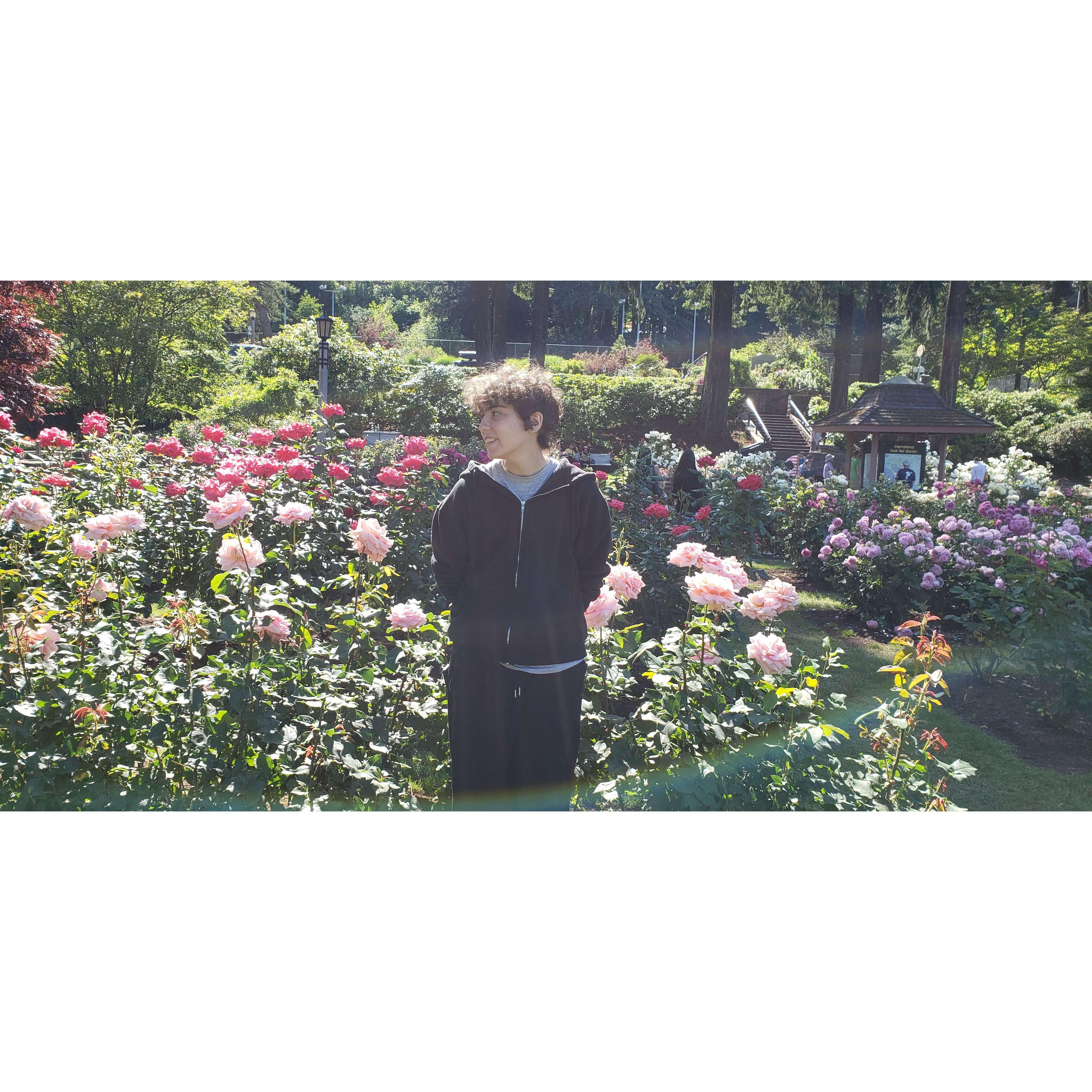 Rex in the Portland Rose Garden