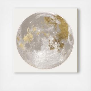 Moon Light I Canvas Art