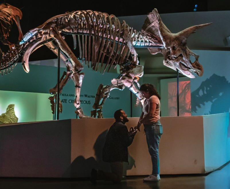 The Wedding Website of Sarah de Leon and Malachi Morell