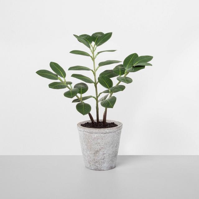 Faux ZZ Potted Plant - Hearth & Hand™ with Magnolia