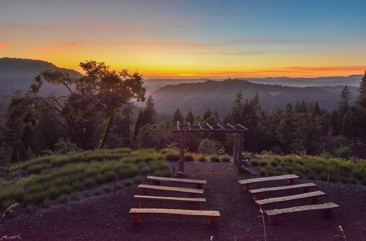 The Wedding Website of Colton Vines and Emma Burns