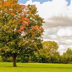 Meadowlark Golf Course