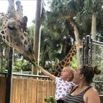 Naples Zoo at Caribbean Gardens