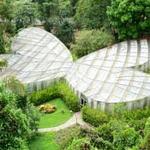 Quindio Botanical Garden - Butterfly