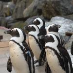 The Maryland Zoo in Baltimore