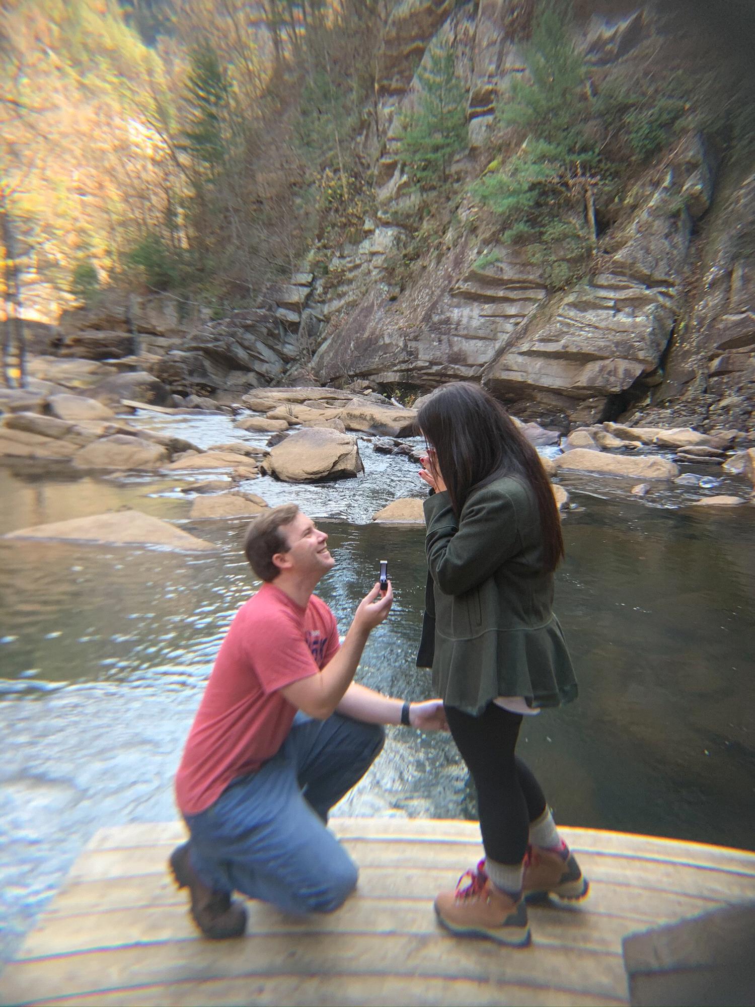 The proposal