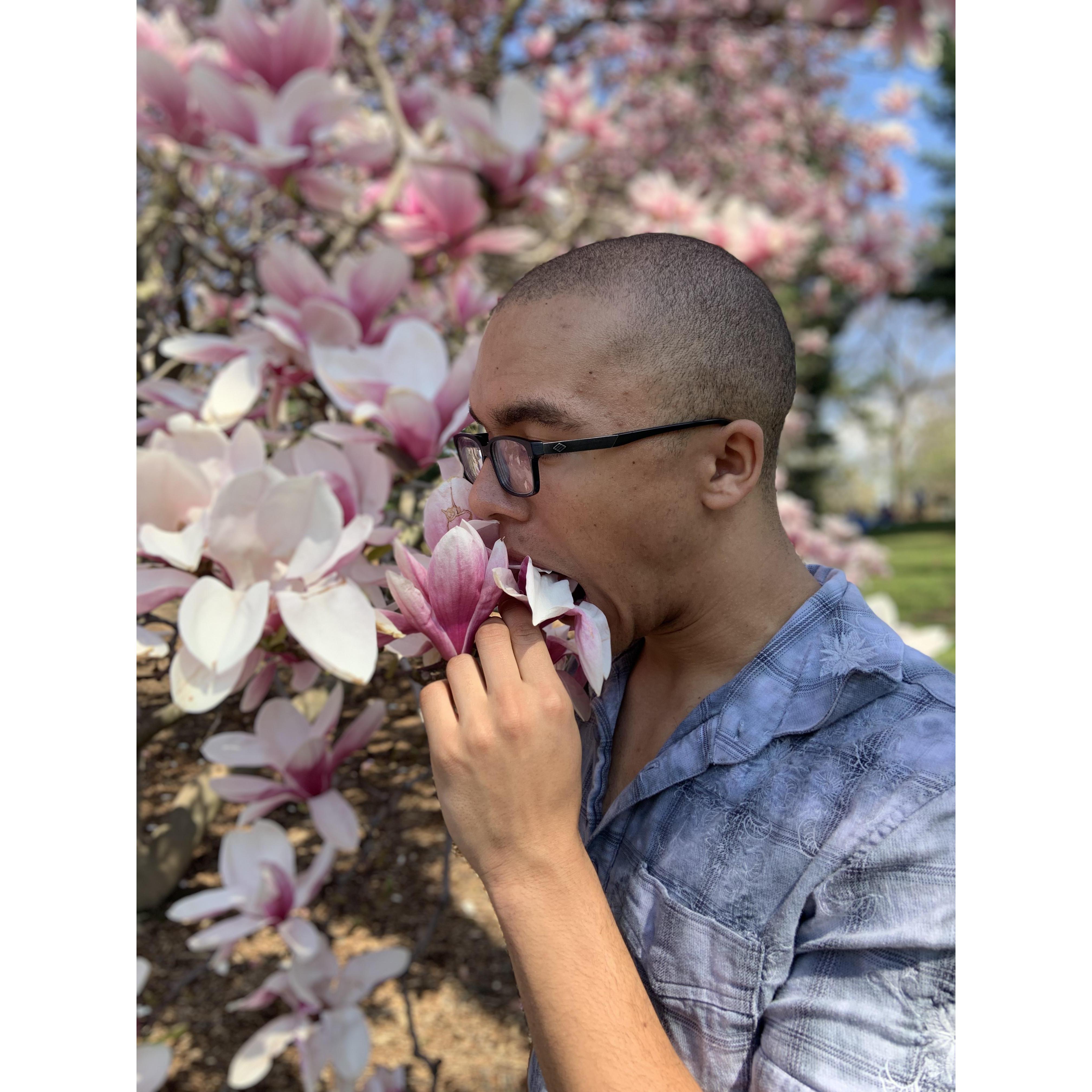 Tess wanted a great photo with the tulip tree. Daniel wanted a photo too!