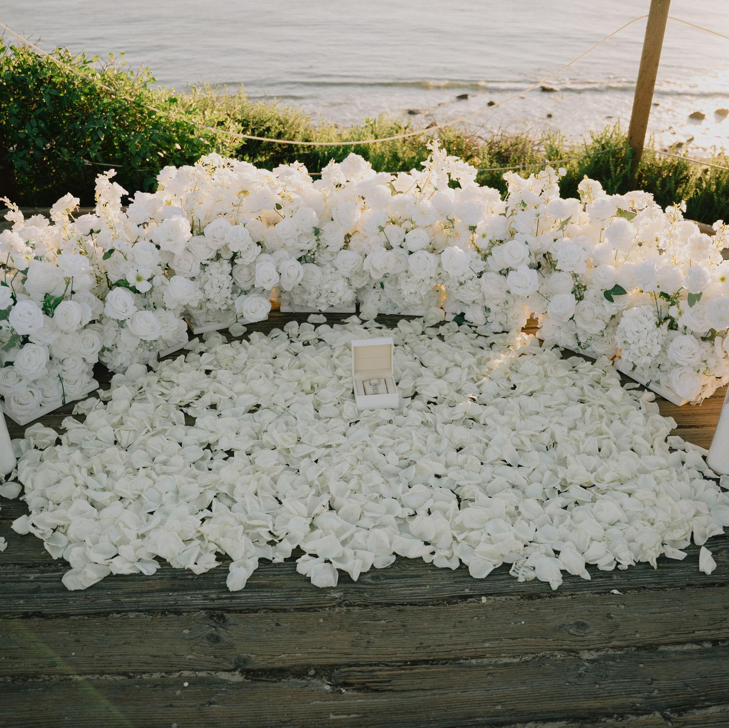 My dream set up. White roses and a beautiful background.