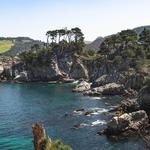 Point Lobos State Natural Reserve