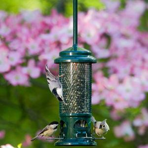 Squirrel Buster® Standard