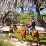 ZooTampa at Lowry Park