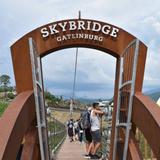 Skybridge