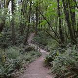 Get Outside: Parks & Trails to Explore