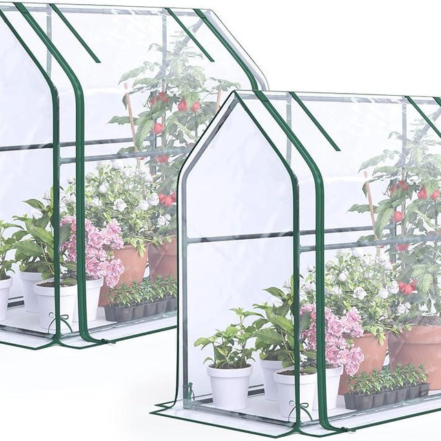 Quictent Mini Greenhouse for Indoor, 2-Pack Tabletop Portable Small Green House Waterproof UV Protected Cover Shelter for Outdoors, Garden Plant Seed Starting Nursery, 36"x18"x33", Clear
