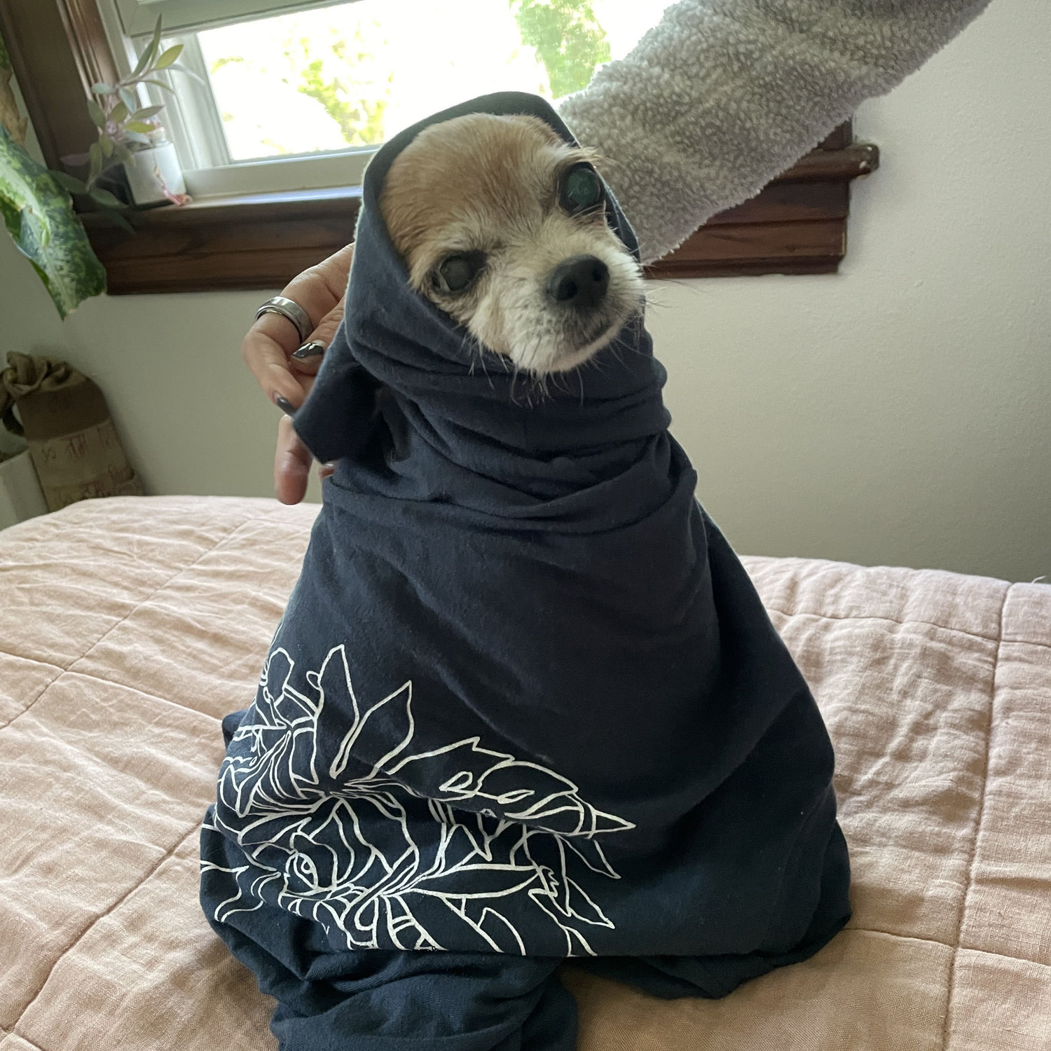 Eevee the babushka