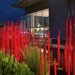 Virginia Museum of Fine Arts