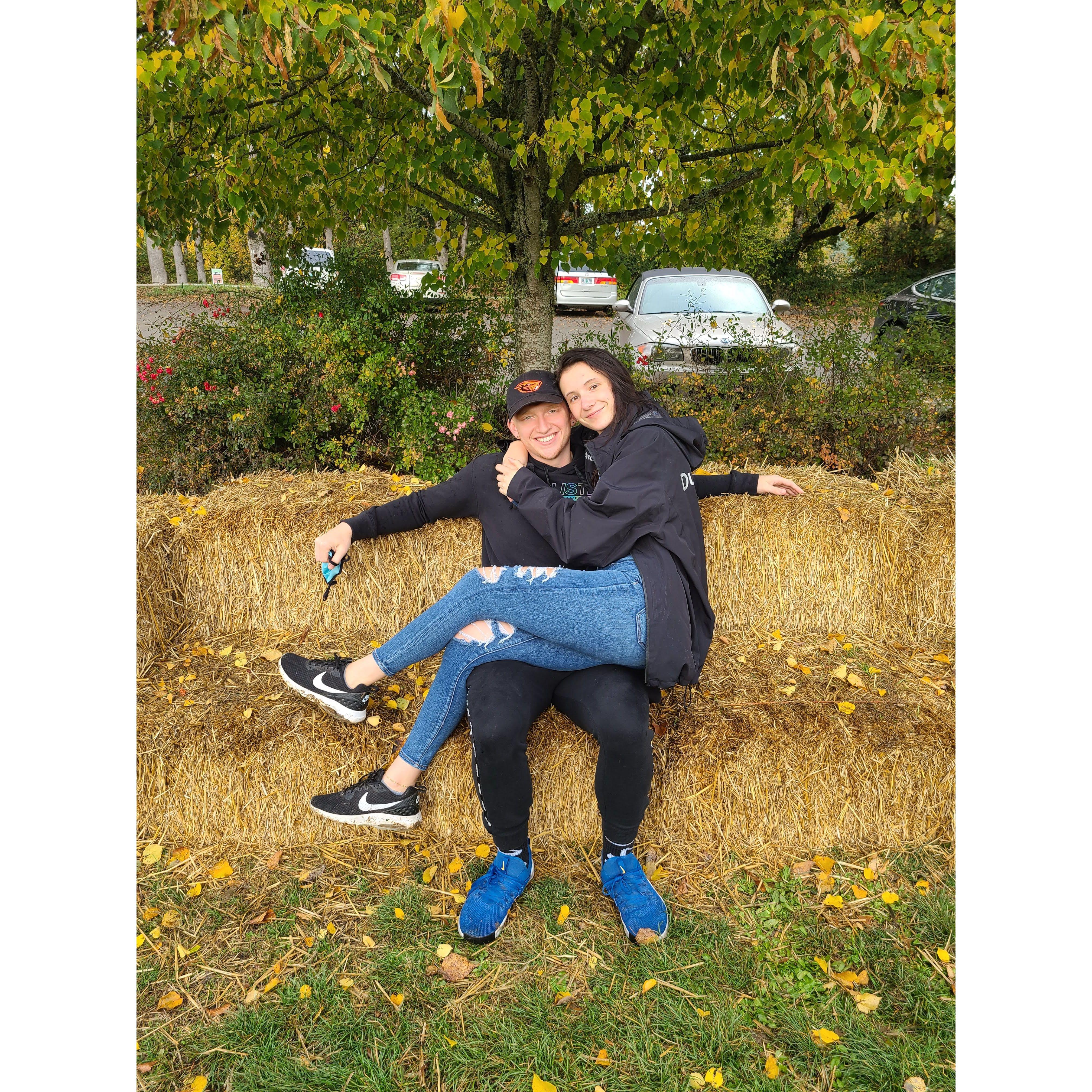 Pumpkin patch pt. 2 pt. 2
