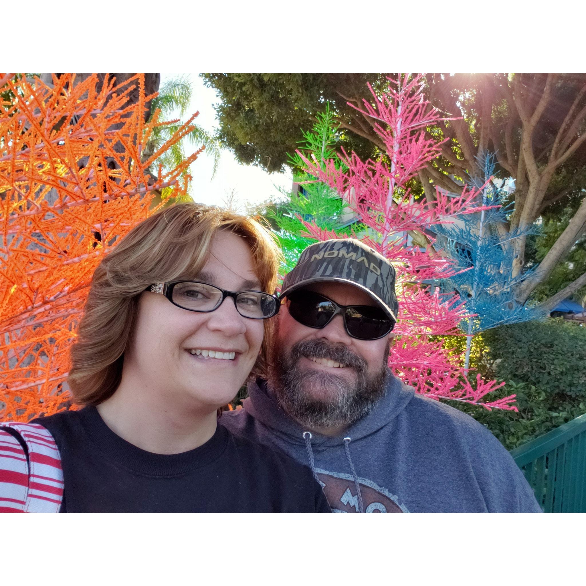 Disneyland Dec 2019