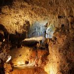 Harrison's Cave Eco-Adventure Park