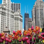 Chicago