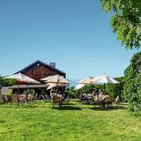 Benmarl Winery