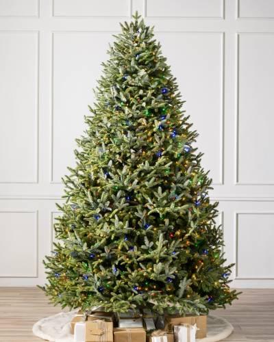 Balsm Hill BH Fraser Fir™