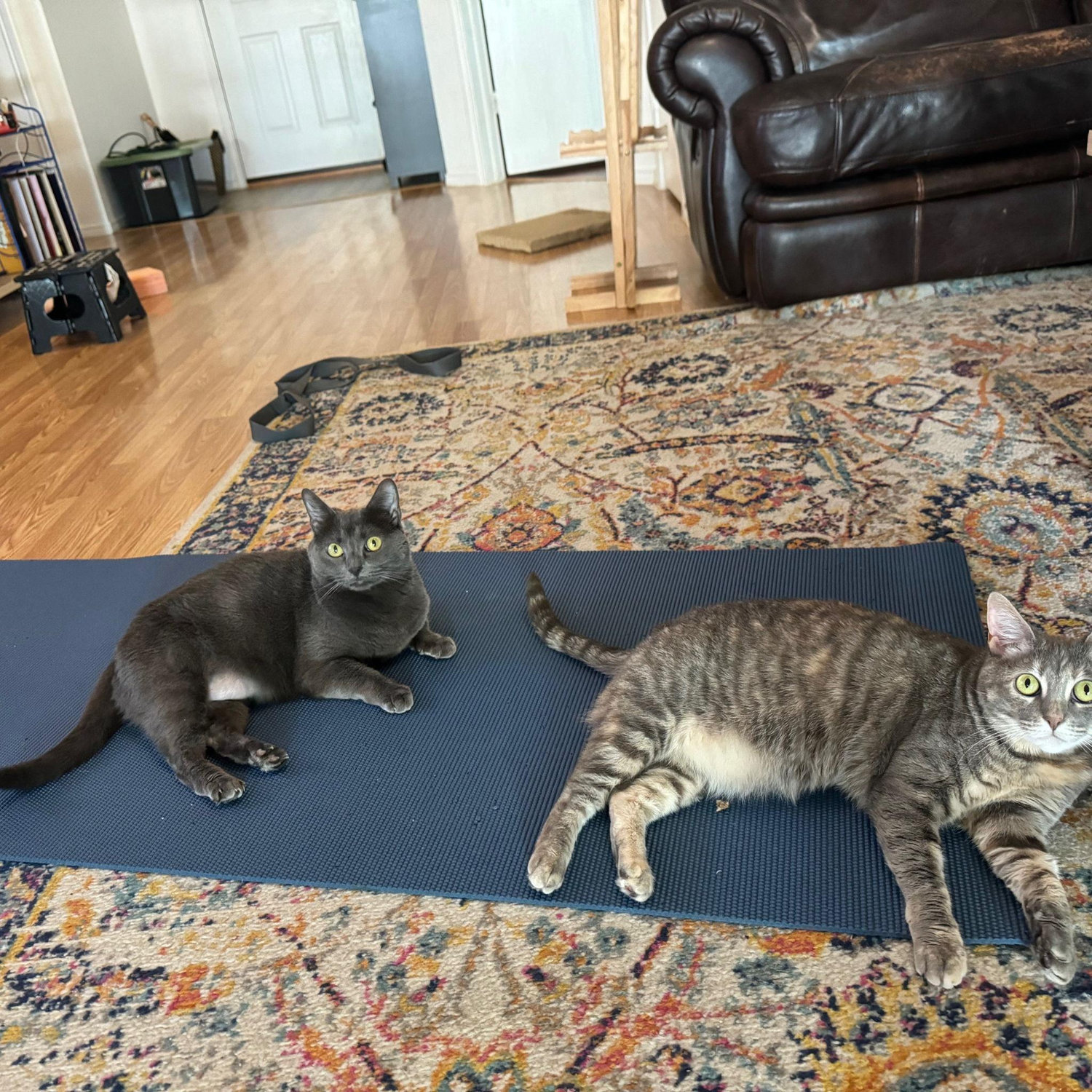 Cleo and Lucy doing yoga. Ages: 7 and 4
