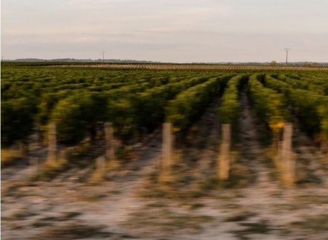 The Wedding Website of Siobhan Archer and Samuel Hill