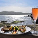 Nick's Cove