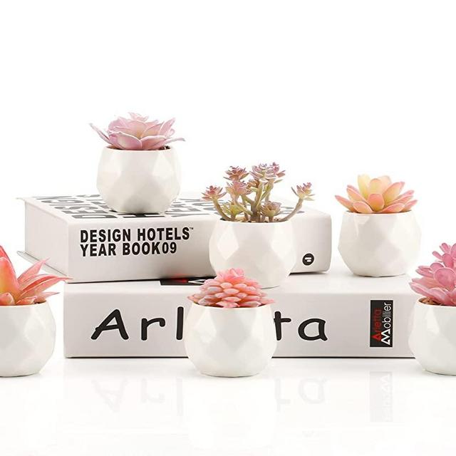 Remittur Set of 6 PCS Artificial Succulents in Pots, Pink Fake Succulent Plants for Bedroom Decor, Small Succulents Plants Artificial Fake Plant Decor, Mini Desk Plant for Living Room Decor