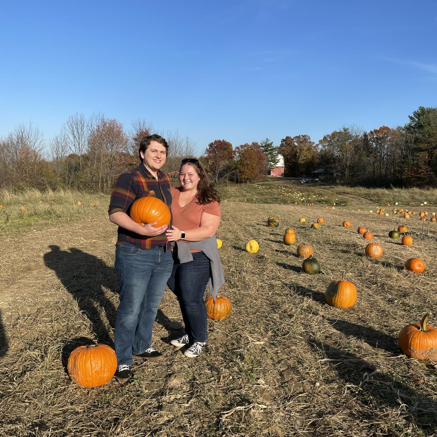 Pumpkin picking 2022