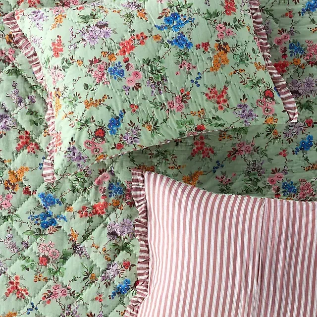 Cotton Voile Floral Printed Ruffle Shams, Set of 2
