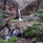 Dripping Springs
