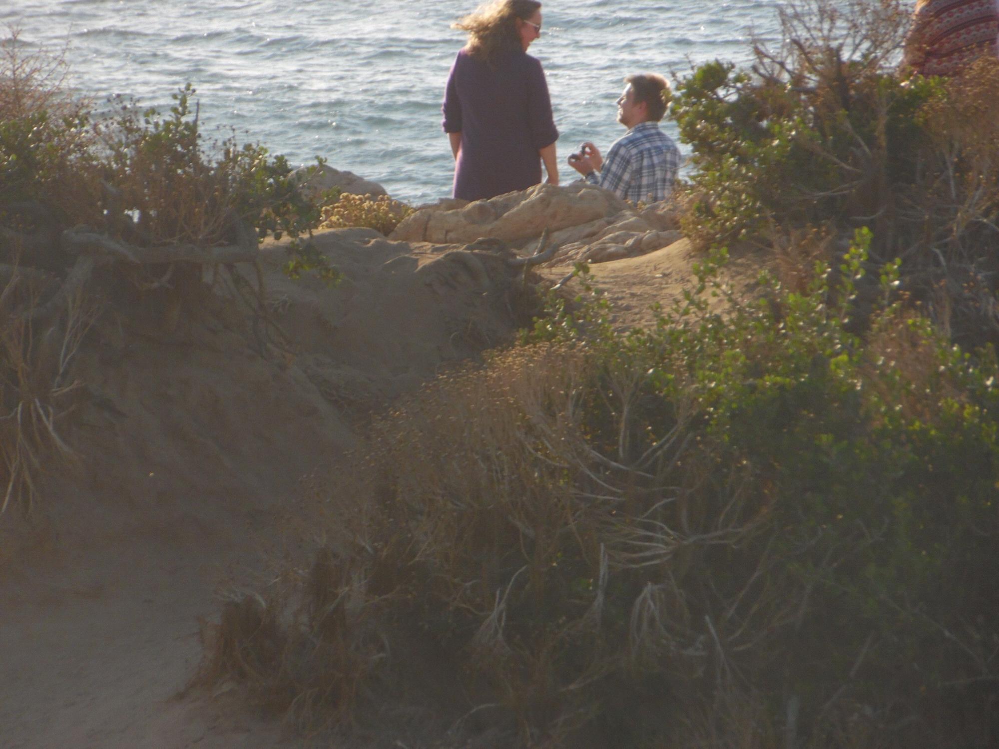 Luke - "So Hannah... Will you marry me?" Hannah - "Now????"
Luke - "Yes... Now."
Hannah - "YES!!!!!"