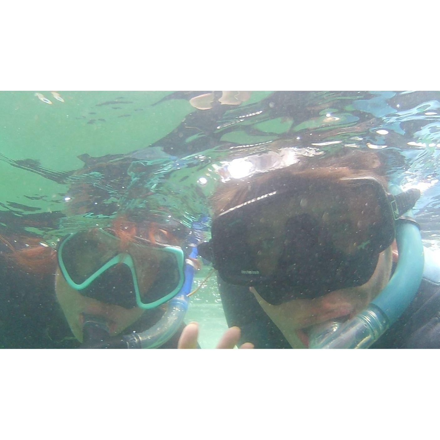 Snorkeling in Mexico