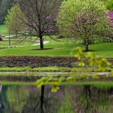 The Morton Arboretum