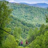 Navitat Ziplining