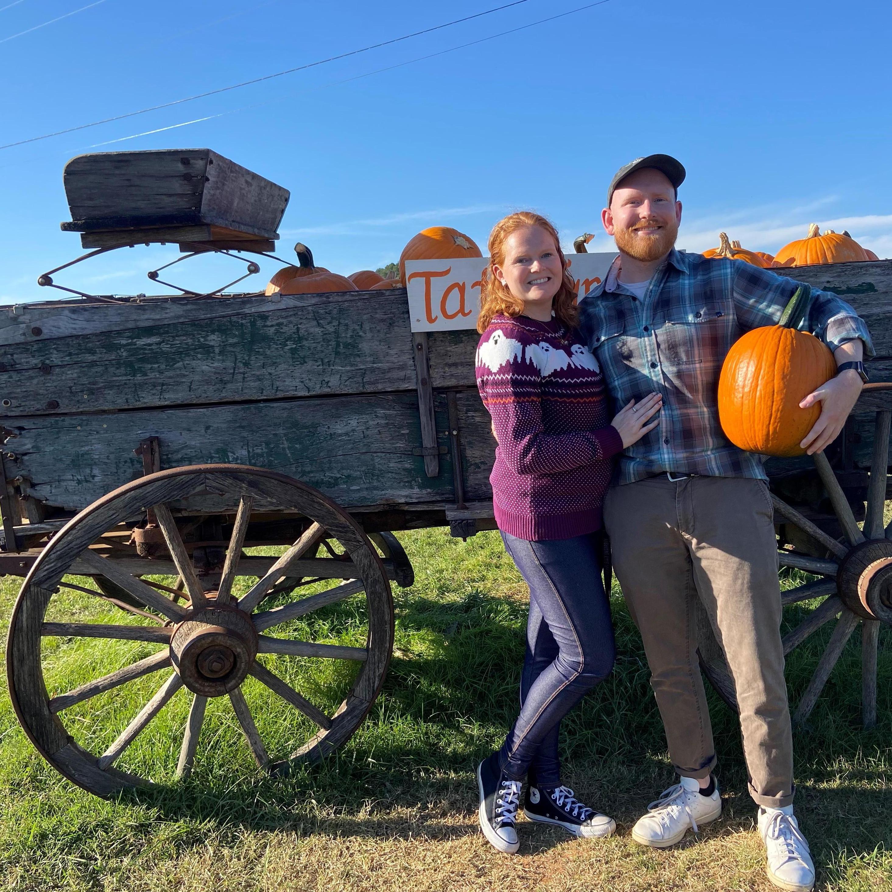 Pumpkin Picking